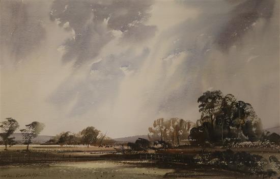 Colin Radcliffe, watercolour, open landscape, signed, 31 x 49cm